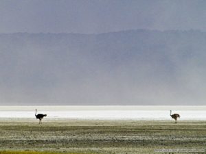 tanzania