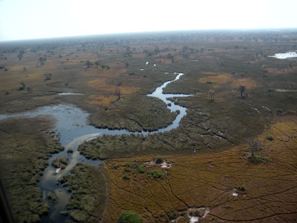 Aereo Okavango's Delta Chobe National Park