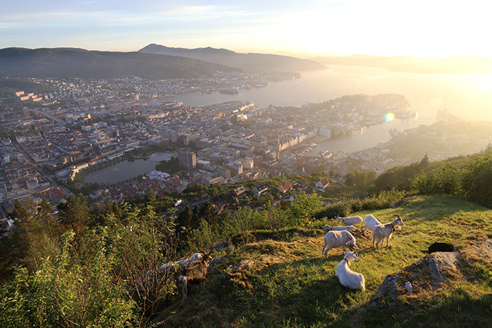 Visitare Bergen Norvegia