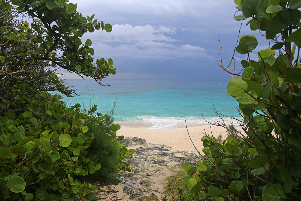 Spiagge di Bermuda