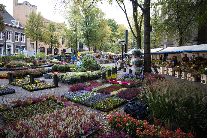 Utrecht cosa vedere mercato dei fiori