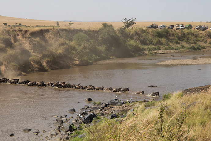 grande migrazione safari kenya